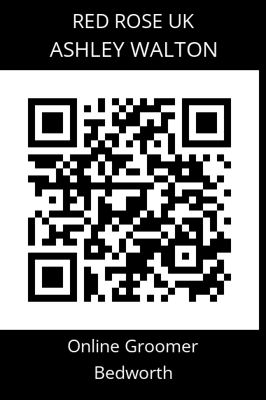 QR code for ashley-walton