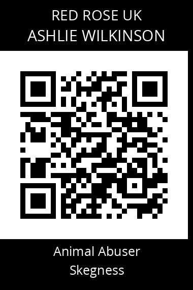 QR code for ashlie-wilkinson