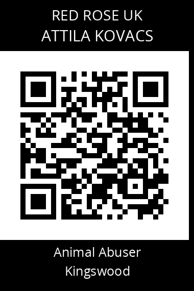 QR code for attila-kovacs