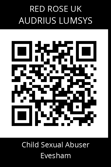 QR code for audrius-lumsys