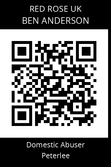 QR code for ben-anderson-2