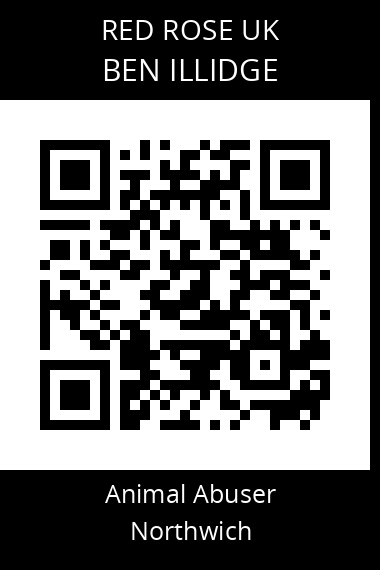 QR code for ben-illidge