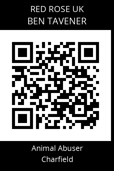 QR code for ben-tavener