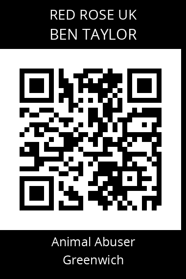 QR code for ben-taylor