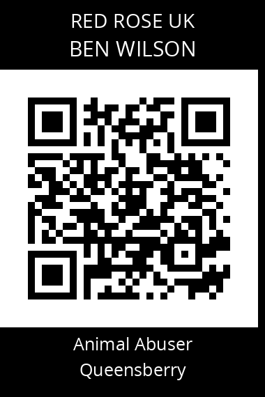 QR code for ben-wilson
