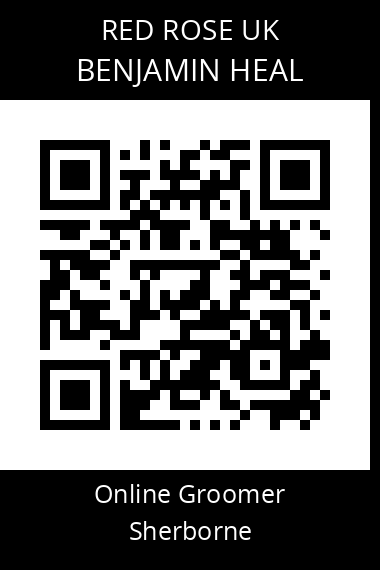 QR code for benjamin-heal