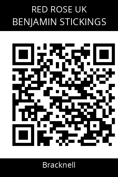 QR code for benjamin-stickings