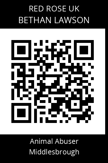 QR code for bethan-lawson