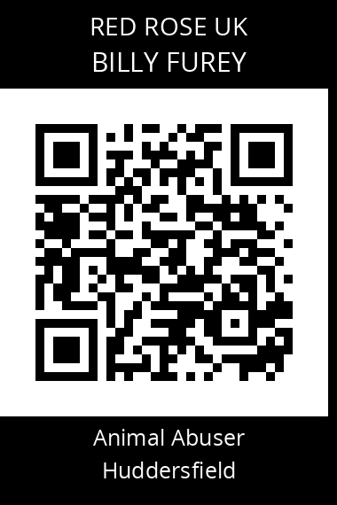 QR code for billy-furey