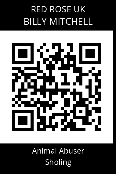 QR code for billy-mitchell