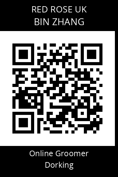 QR code for bin-zhang
