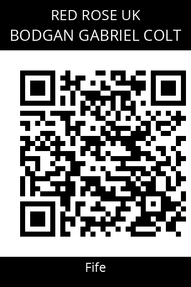 QR code for bodgan-gabriel-colt