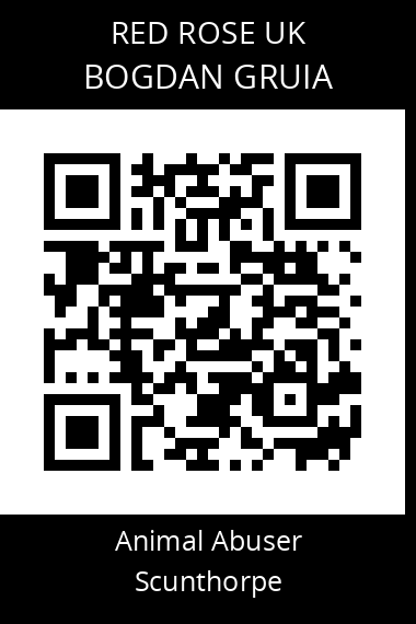 QR code for bogdan-gruia