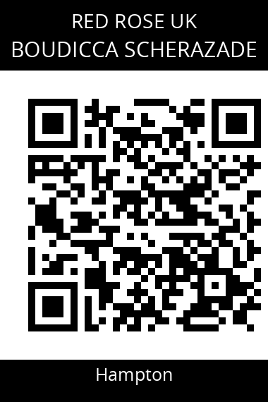 QR code for boudicca-scherazade