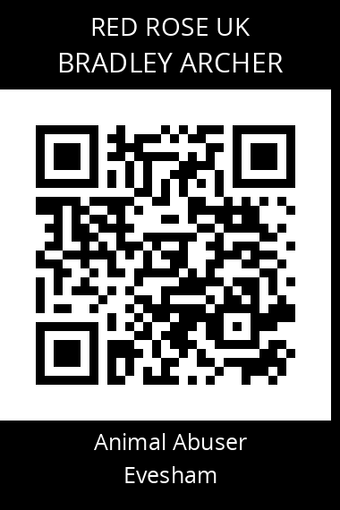 QR code for bradley-archer