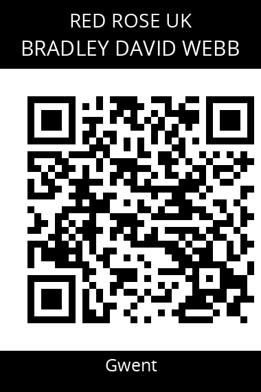 QR code for bradley-david-webb
