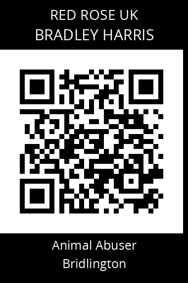 QR code for bradley-harris