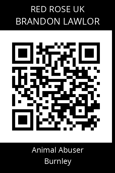 QR code for brandon-lawlor