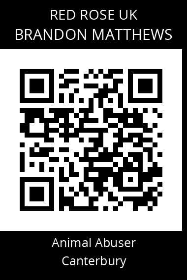 QR code for brandon-matthews