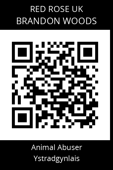 QR code for brandon-woods