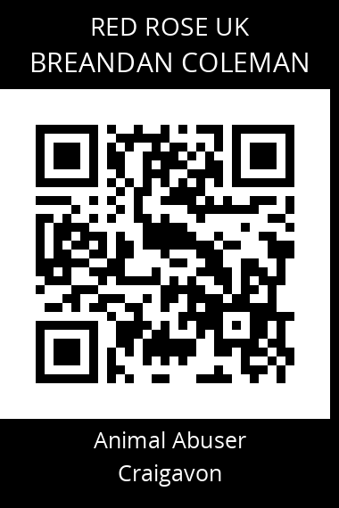 QR code for breandan-coleman