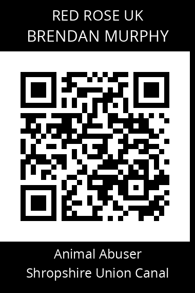 QR code for brendan-murphy-1
