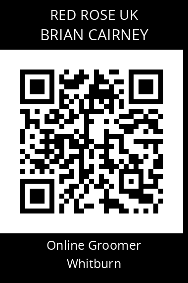 QR code for brian-cairney