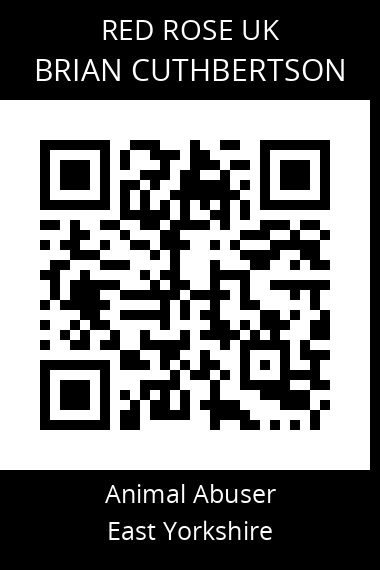 QR code for brian-cuthbertson