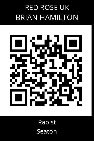 QR code for brian-hamilton-1