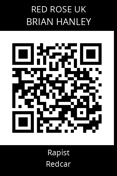 QR code for brian-hanley