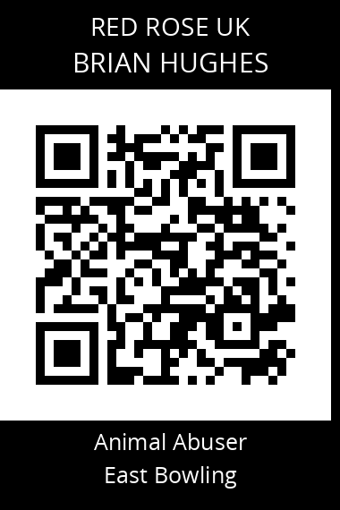 QR code for brian-hughes-3
