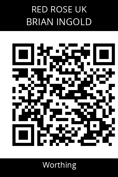 QR code for brian-ingold-sw2md2