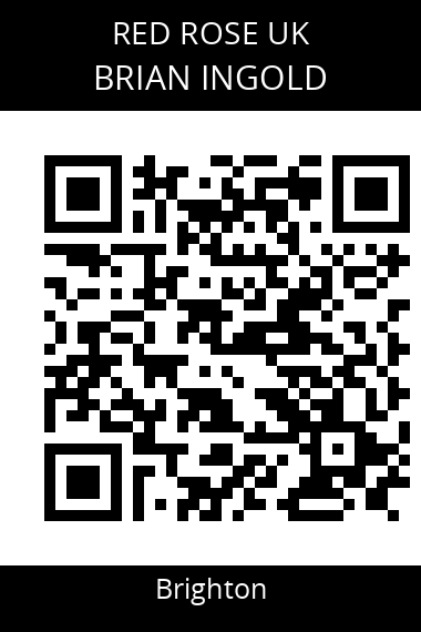 QR code for brian-ingold-ud8am5