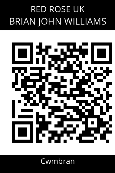 QR code for brian-john-williams
