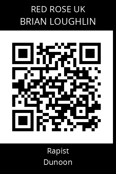 QR code for brian-loughlin