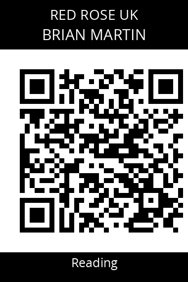 QR code for brian-martin-3xelid