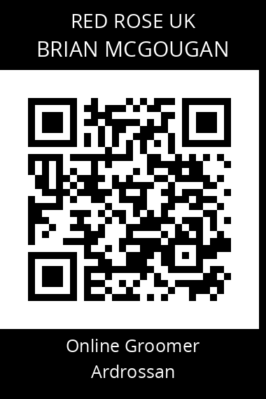 QR code for brian-mcgougan