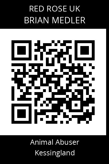 QR code for brian-medler