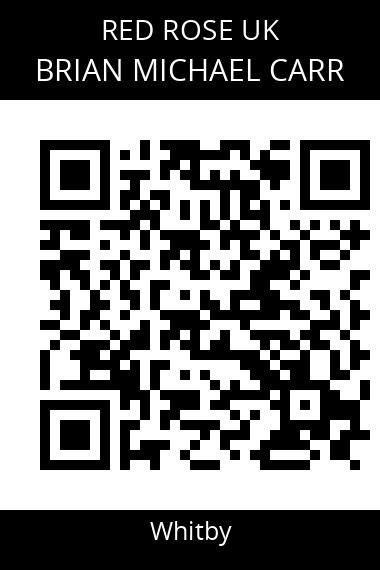 QR code for brian-michael-carr