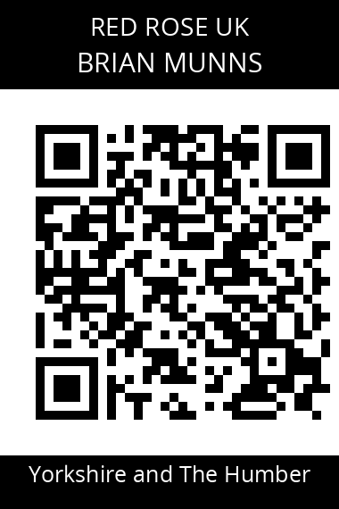 QR code for brian-munns-qrwuv4