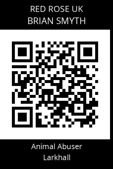 QR code for brian-smyth-1