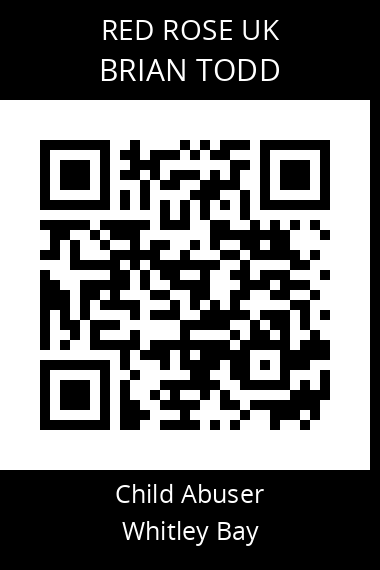 QR code for brian-todd-3