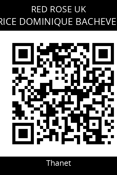QR code for brice-dominique-bacheven