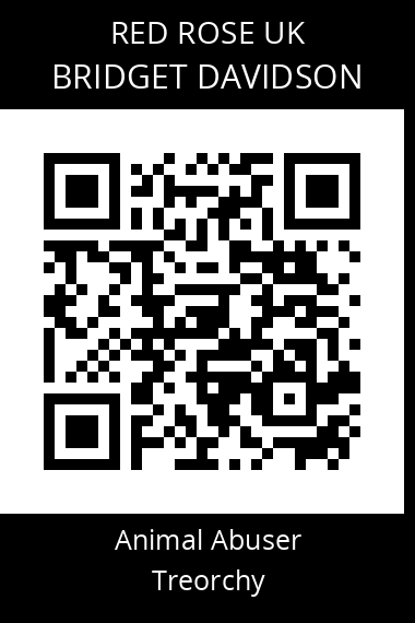 QR code for bridget-davidson