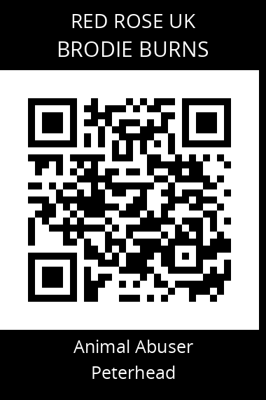 QR code for brodie-burns