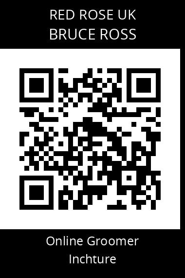 QR code for bruce-ross