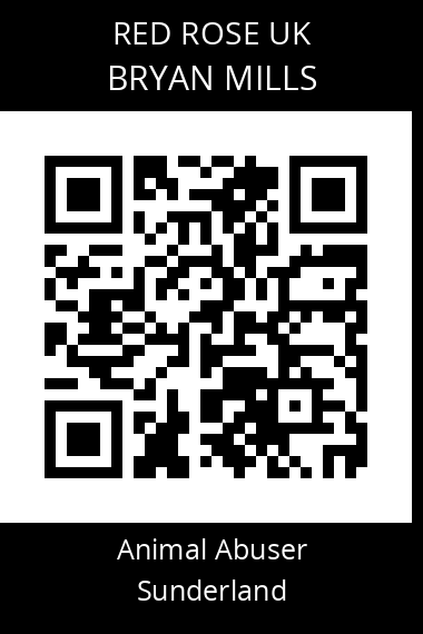 QR code for bryan-mills