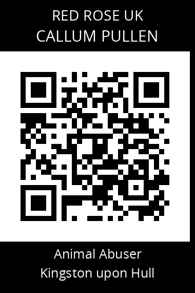 QR code for callum-pullen