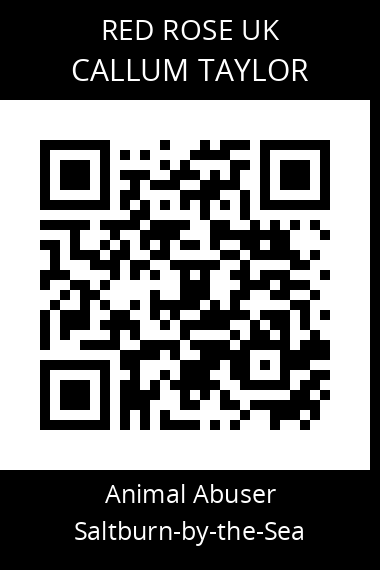 QR code for callum-taylor-1