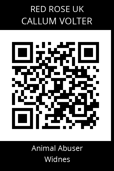 QR code for callum-volter